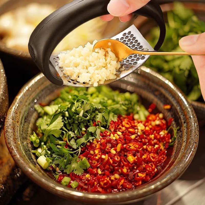 Stainless Steel Garlic Press