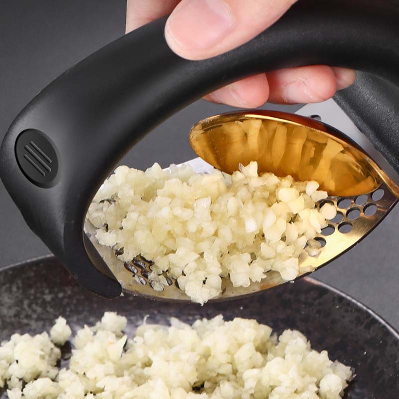 Stainless Steel Garlic Press